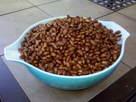 Pinto Beans Wholesale | Bulk B2B Supply