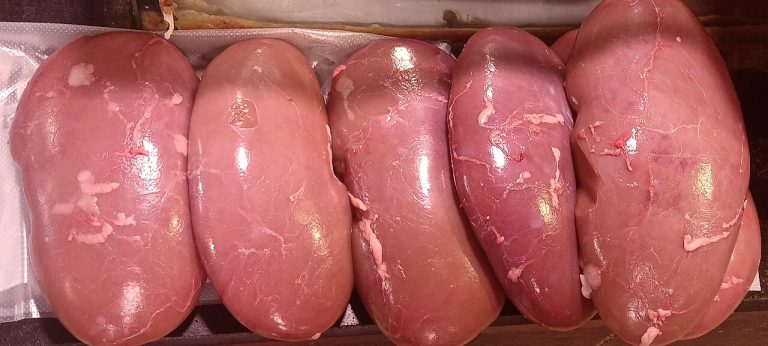 Pork Kidney Wholesale
