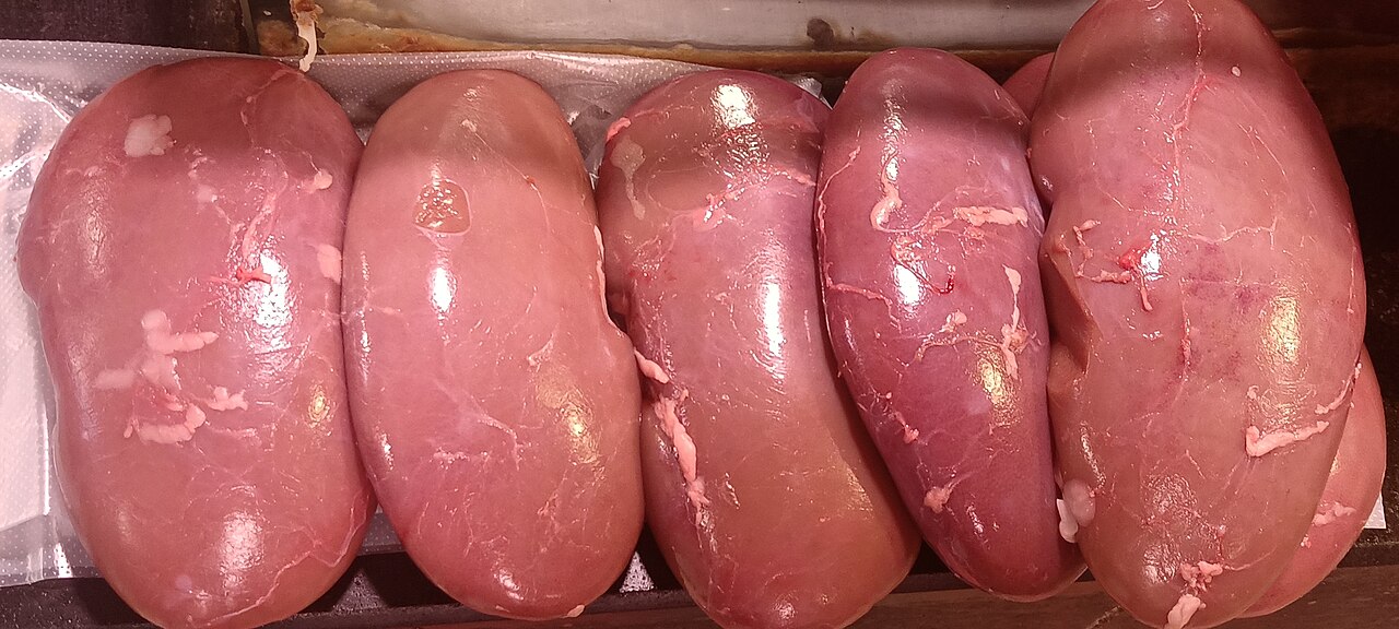 Pork Kidney