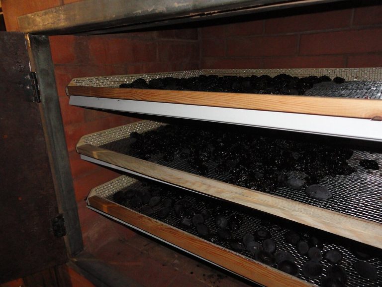 Prunes Dried Plums Wholesale
