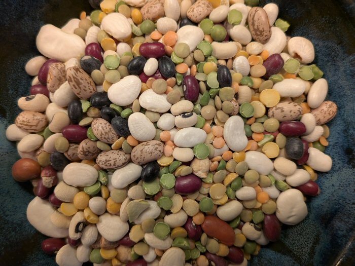 Adzuki Beans Wholesale | Bulk B2B Supply