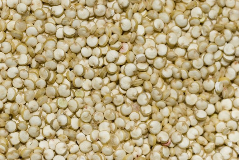 Quinoa Grain Wholesale