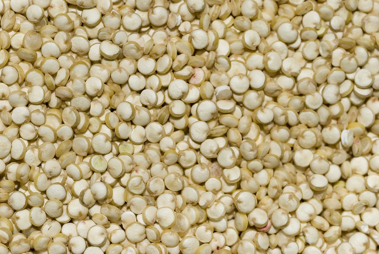 Quinoa Grain wholesale product
