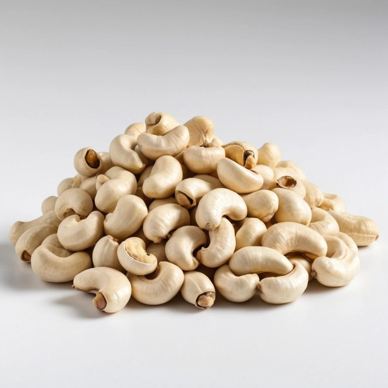 Raw Cashew Nuts RCN Wholesale