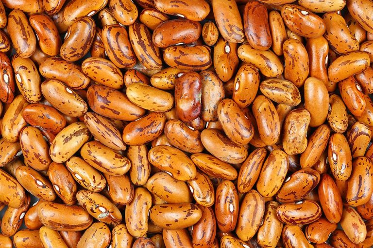 Red Kidney Beans Wholesale