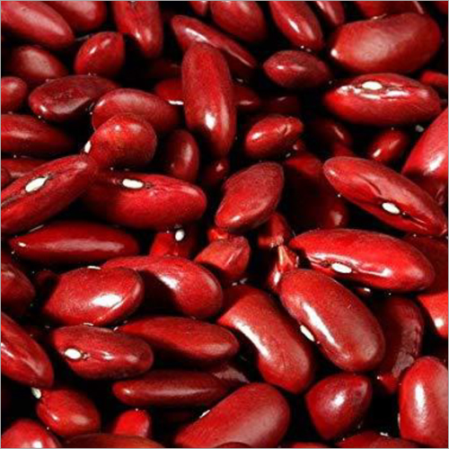 Red Kidney Beans Wholesale