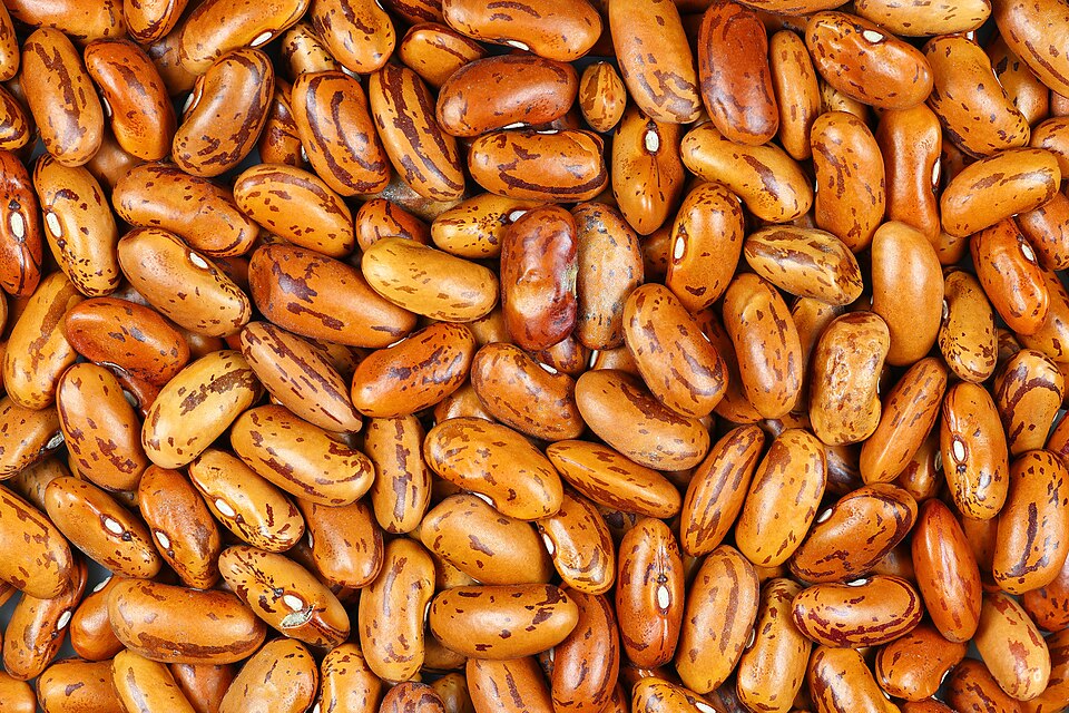 Red Kidney Beans