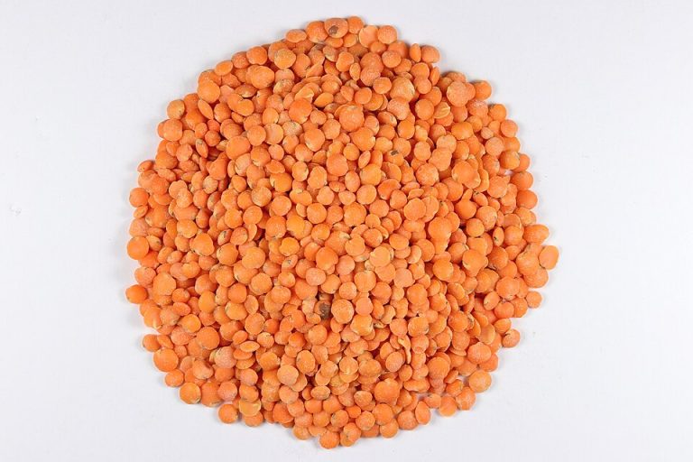 Red Lentils Wholesale