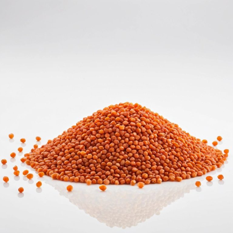 Red Lentils Wholesale