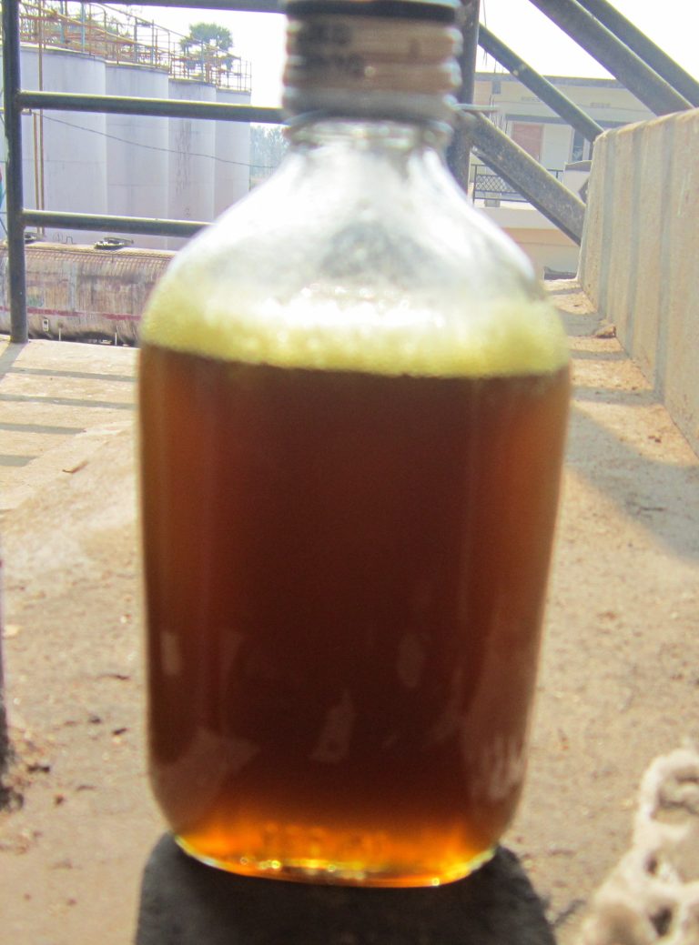 Rice Bran Oil Wholesale | Bulk B2B Supply