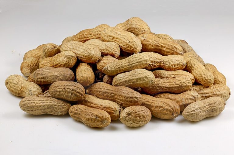 Roasted Peanuts Wholesale