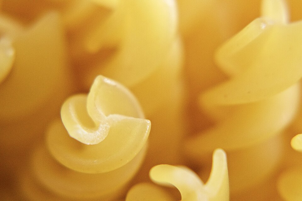 Rotini Pasta Wholesale