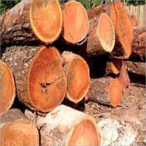 Rough-Sawn Timber Wholesale