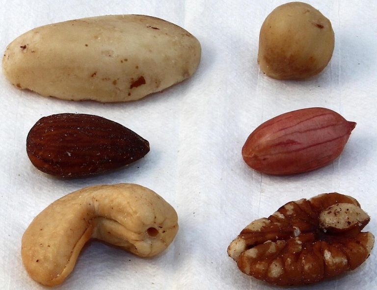 Salted Mixed Nuts Wholesale
