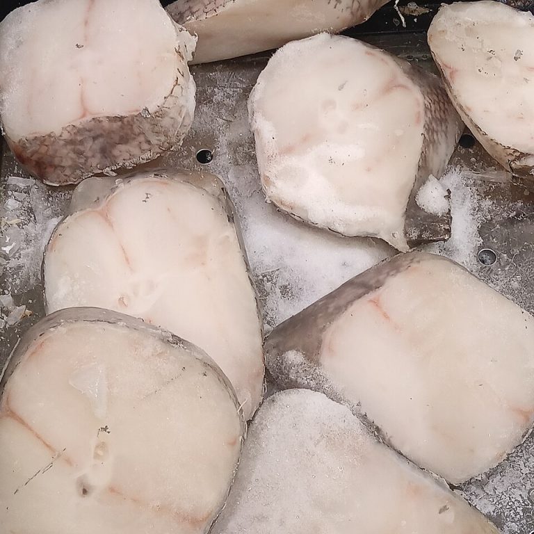Fresh Catfish Wholesale