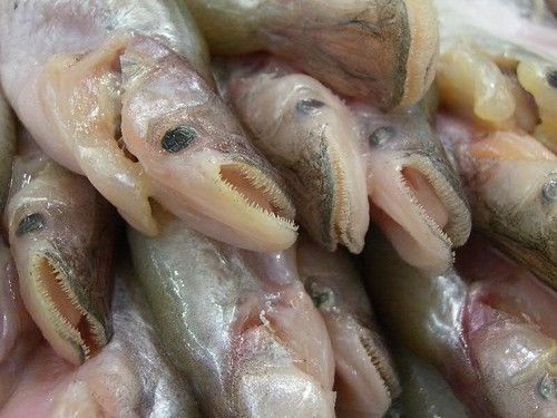Seafood & Frozen Foods Wholesale