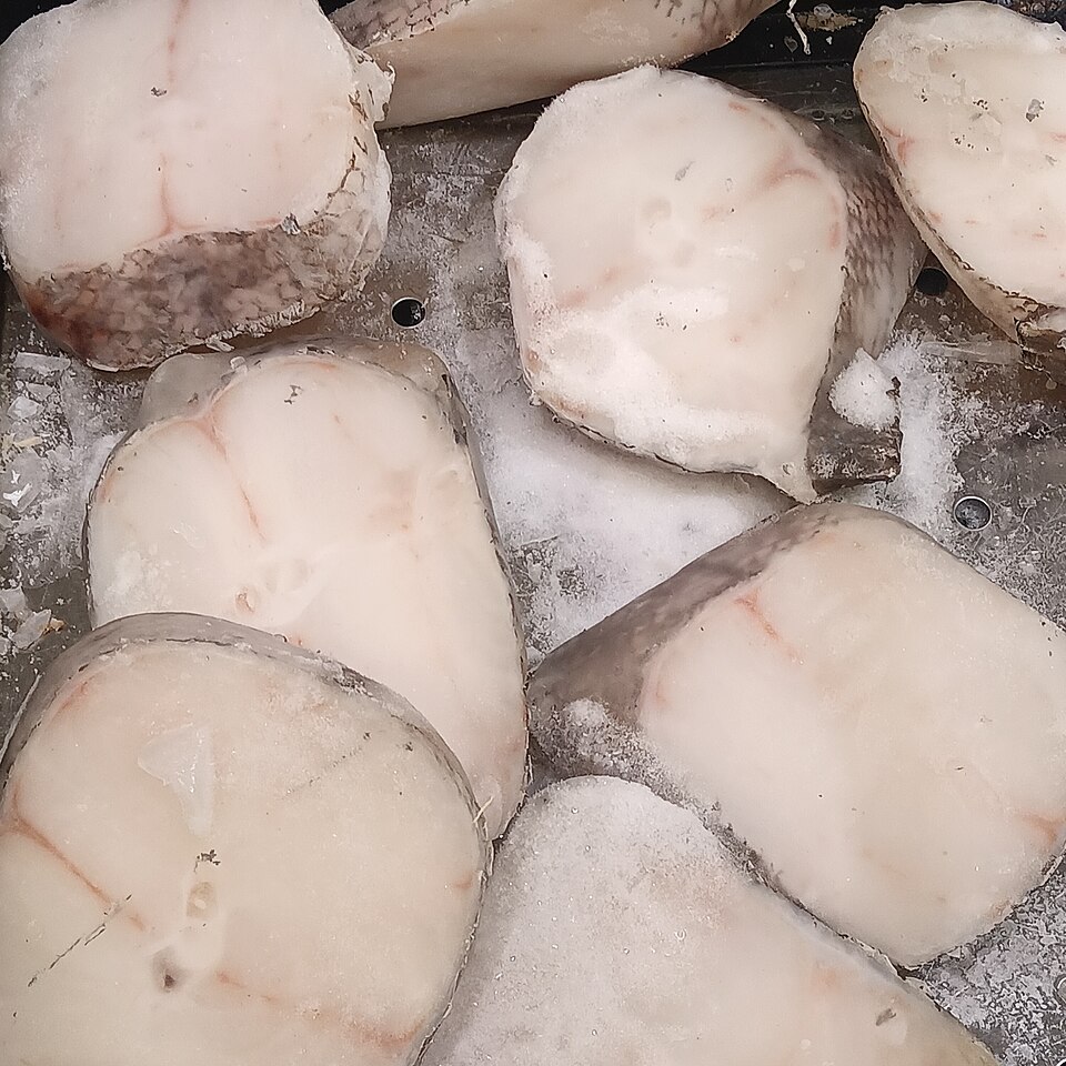 Fresh Whole Mackerel Wholesale pack for wholesale and international export