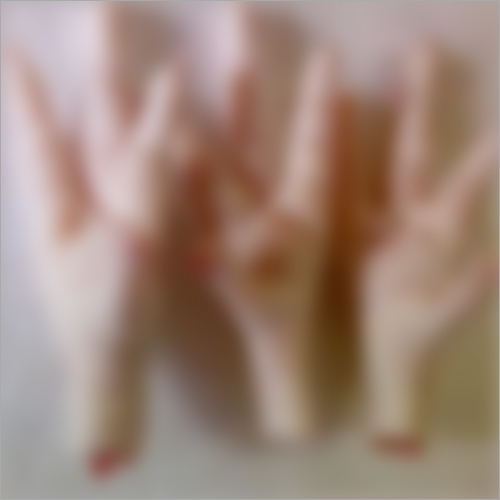 Seara Frozen Chicken Paws Grade A Wholesale pack for wholesale and international export