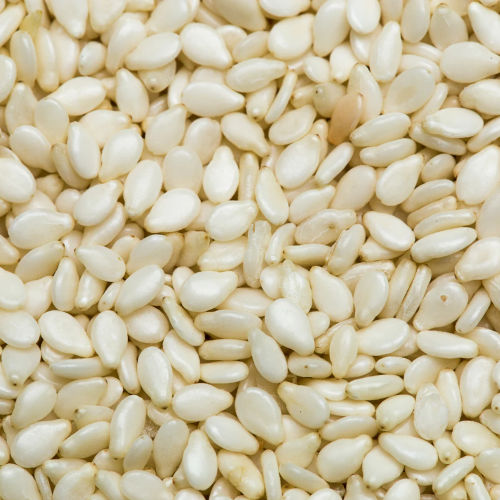 Sesame Seeds Wholesale