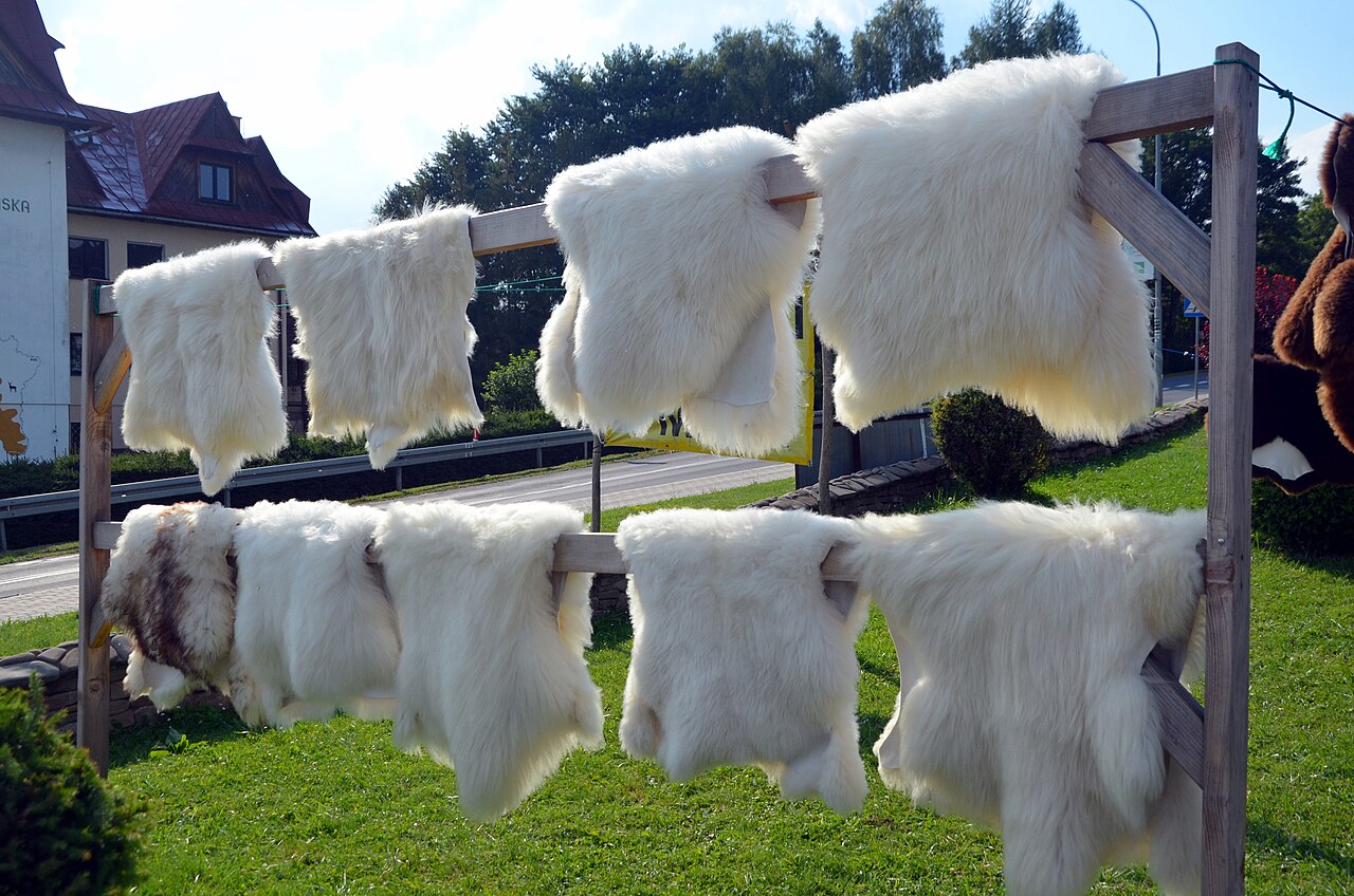 Sheep and Lamb Skins Wholesale pack for wholesale and international export