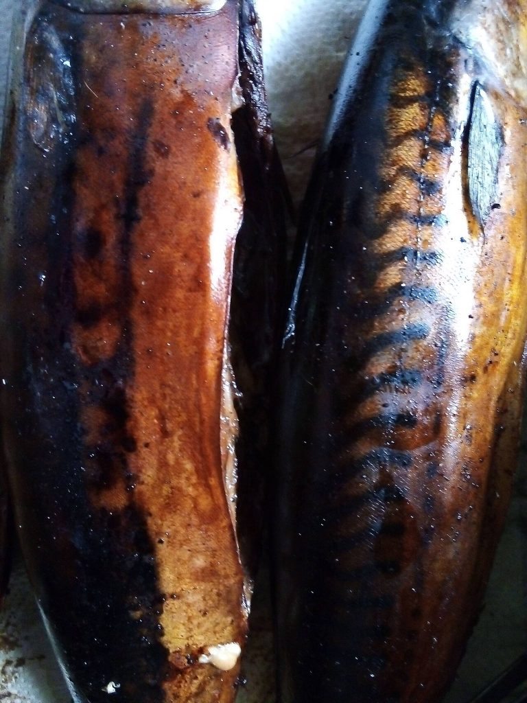 Smoked Mackerel Dried Titus Fish Wholesale