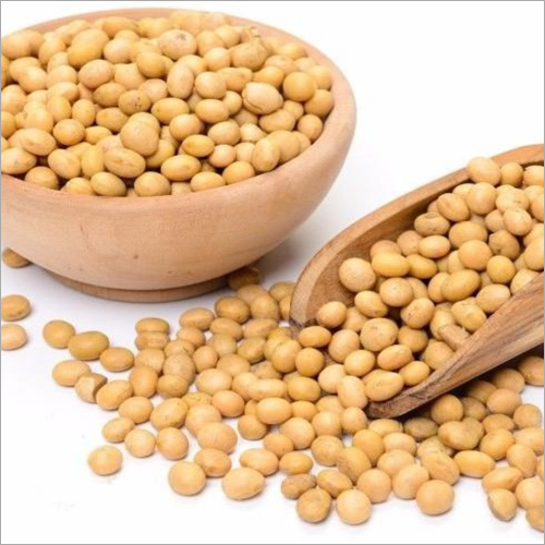 Soybean Seeds for Planting