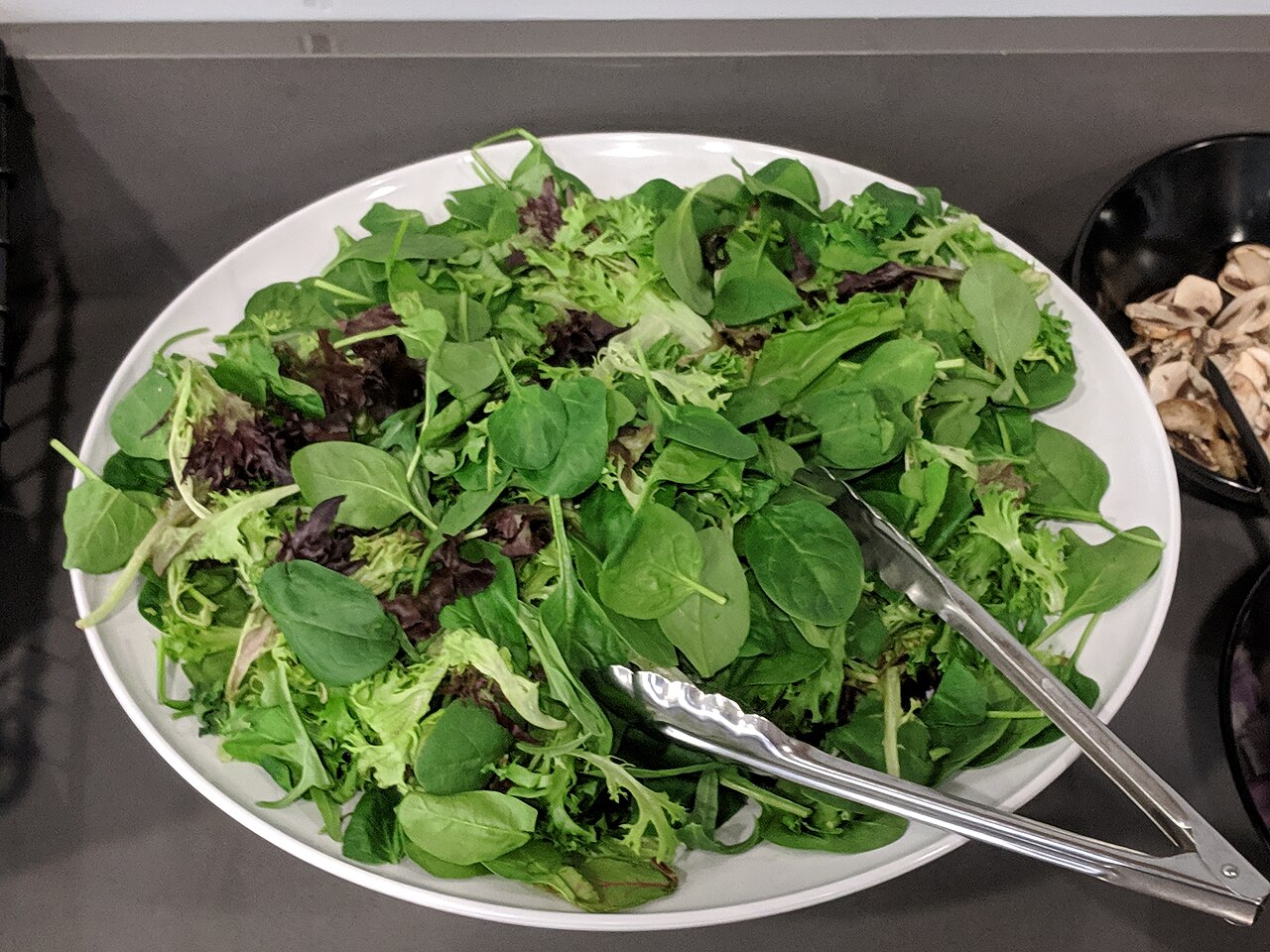 Spring Mix Mixed Salad Leaves Wholesale pack for wholesale and international export