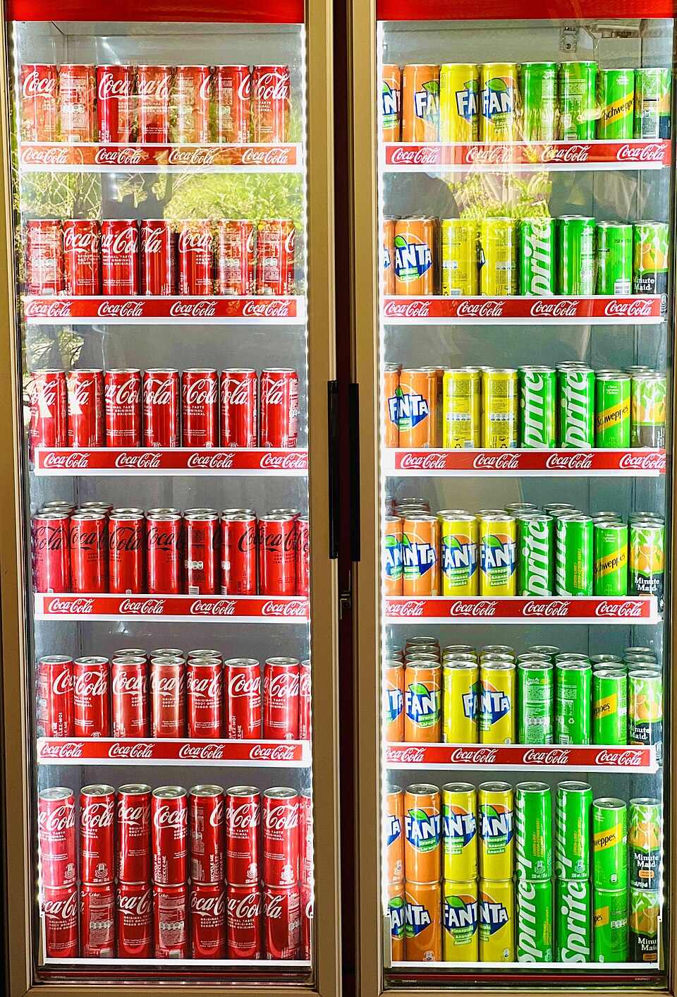 Sugar-Free Carbonated Soft Drinks
