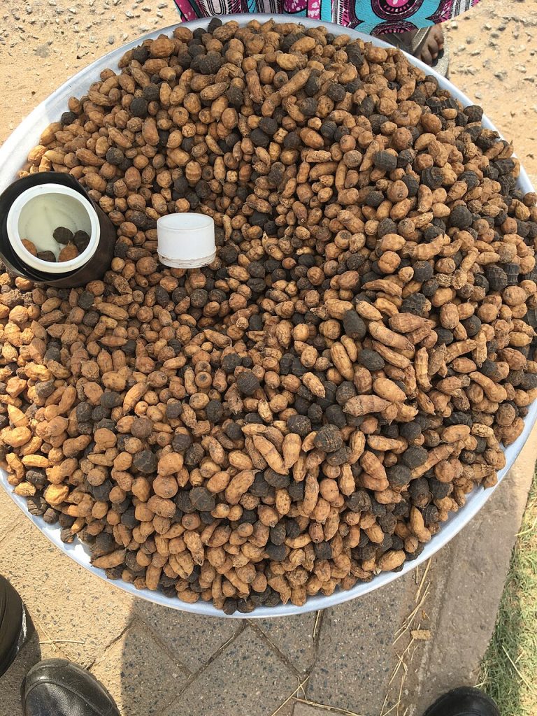 Tiger Nuts Wholesale