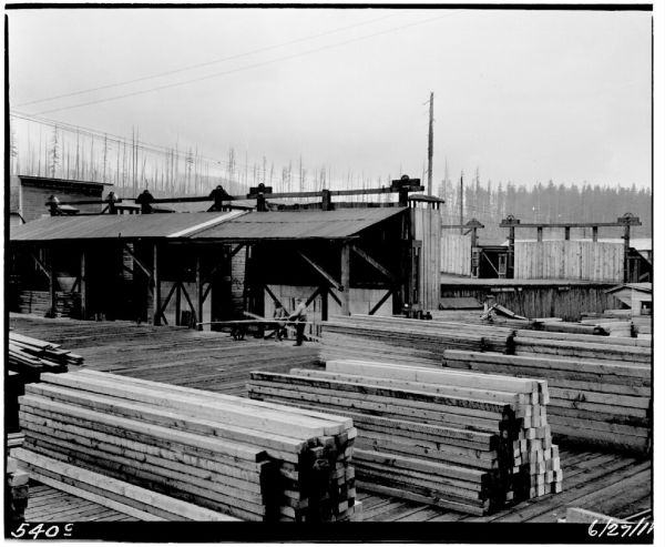 Timber, Lumber & Wood Products