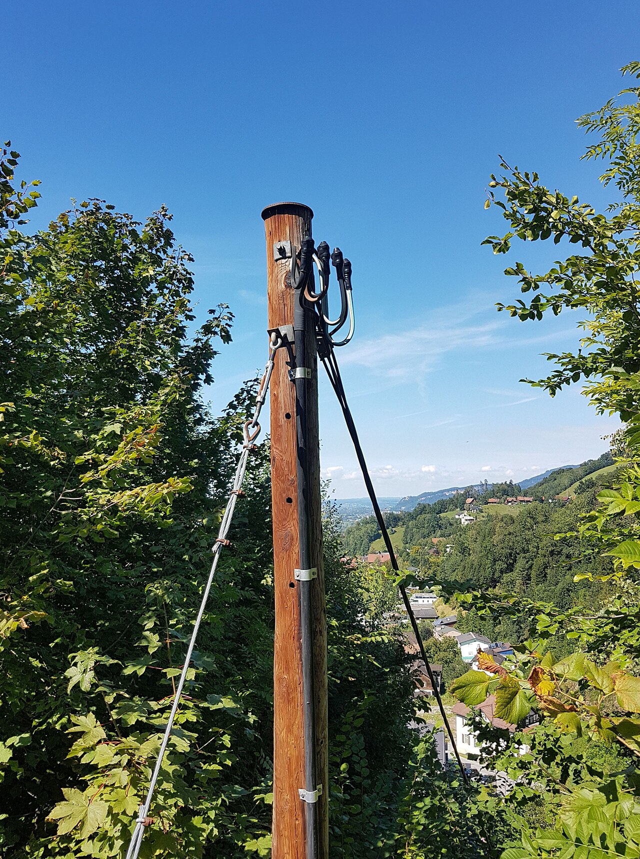 Timber Utility Poles wholesale timber and wood products