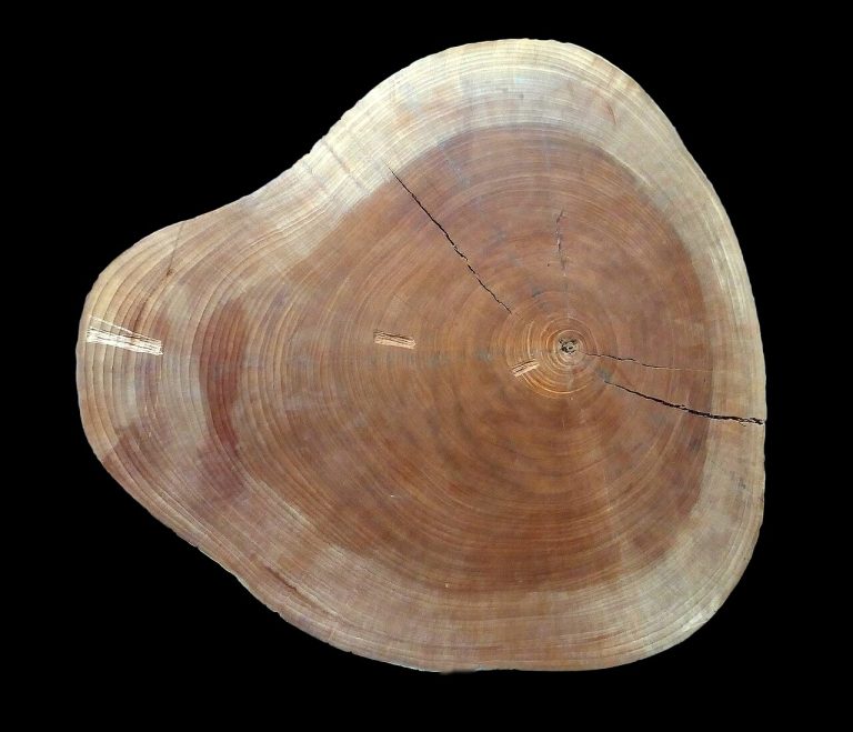 Utile Timber Wholesale