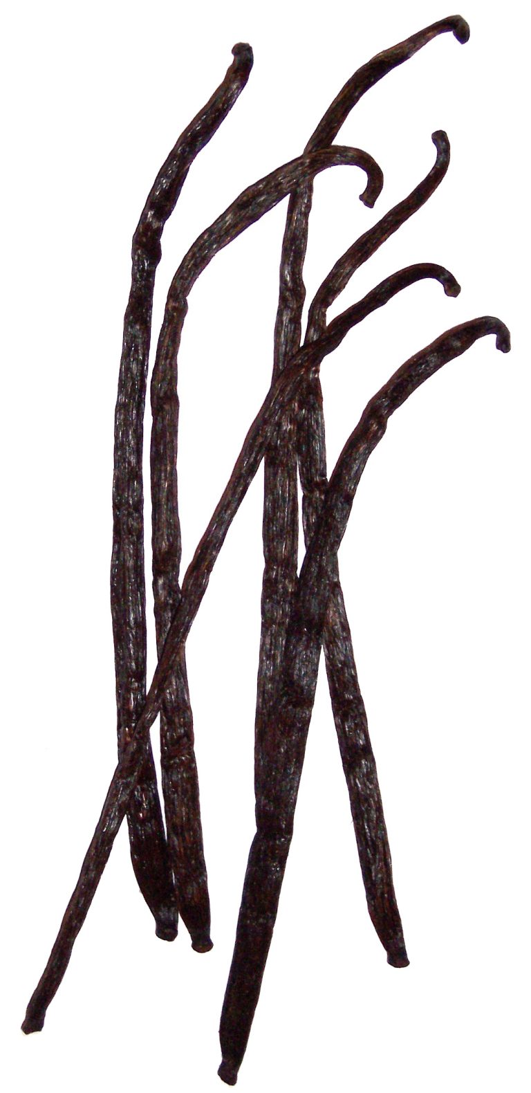 Vanilla Beans Wholesale