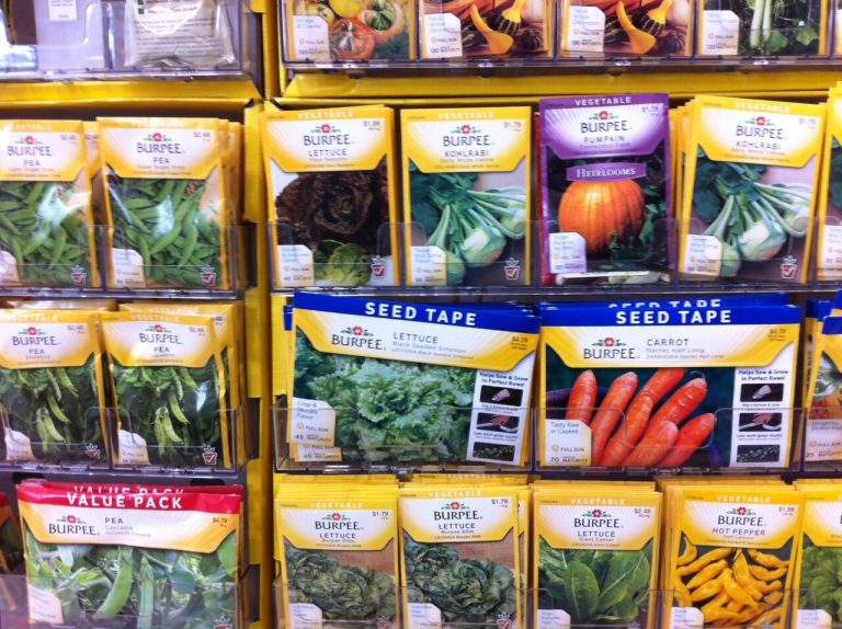Vegetable Seeds Assorted Bulk Packs Wholesale
