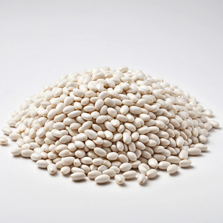 White Kidney Beans Wholesale