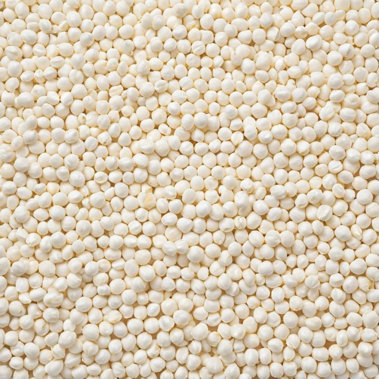 White Maize Wholesale