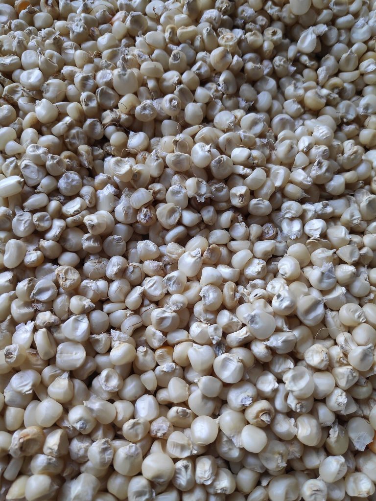 White Maize Wholesale