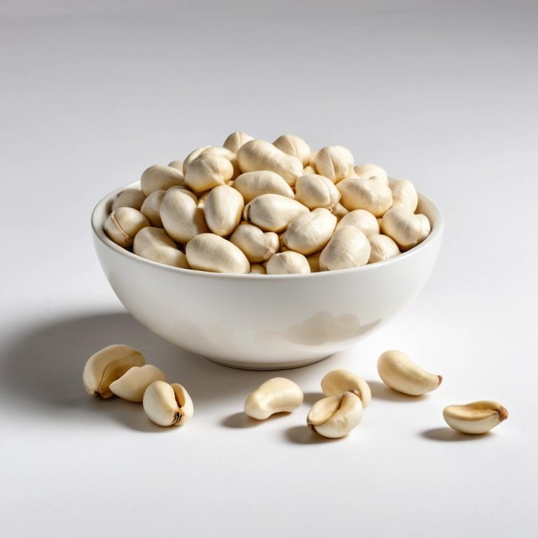 White Whole Cashew Kernels W180 Wholesale