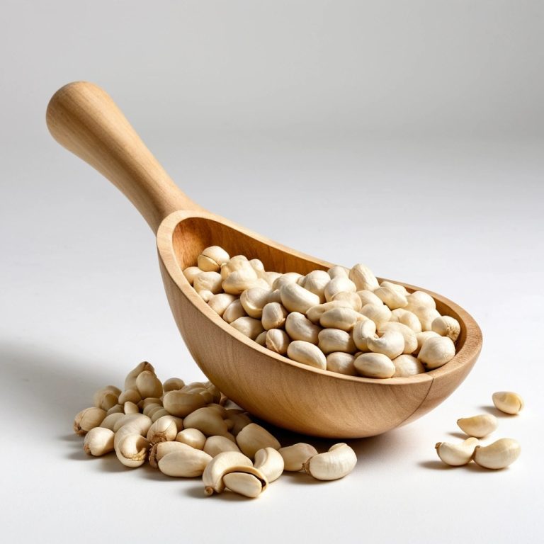 White Whole Cashew Kernels W210 Wholesale