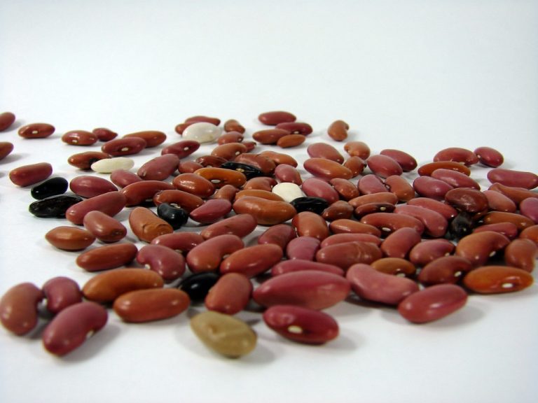 Whole Chickpeas Wholesale | Bulk B2B Supply