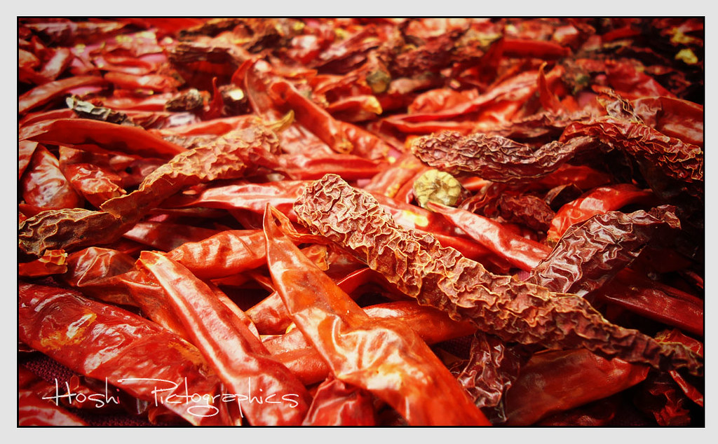 Whole Dried Red Chili wholesale product name text; no product image requested