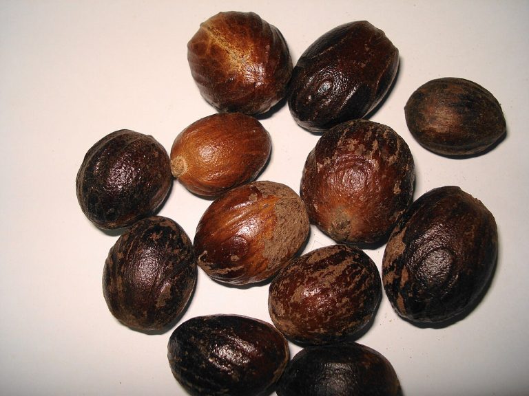 Whole Nutmeg Wholesale