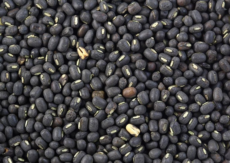 Whole Urad Beans Wholesale