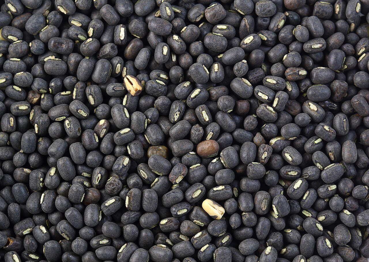 Whole Urad Beans Wholesale wholesale product