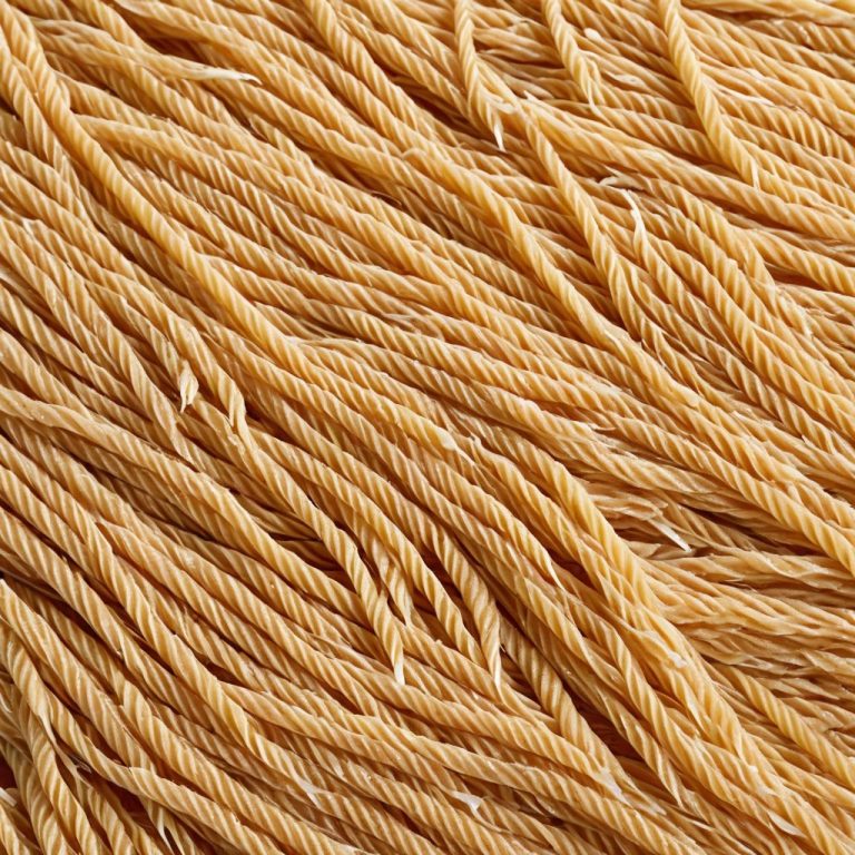 Whole Wheat Pasta Wholesale