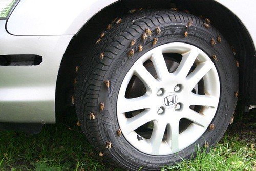 Winter Passenger Car Tires Wholesale
