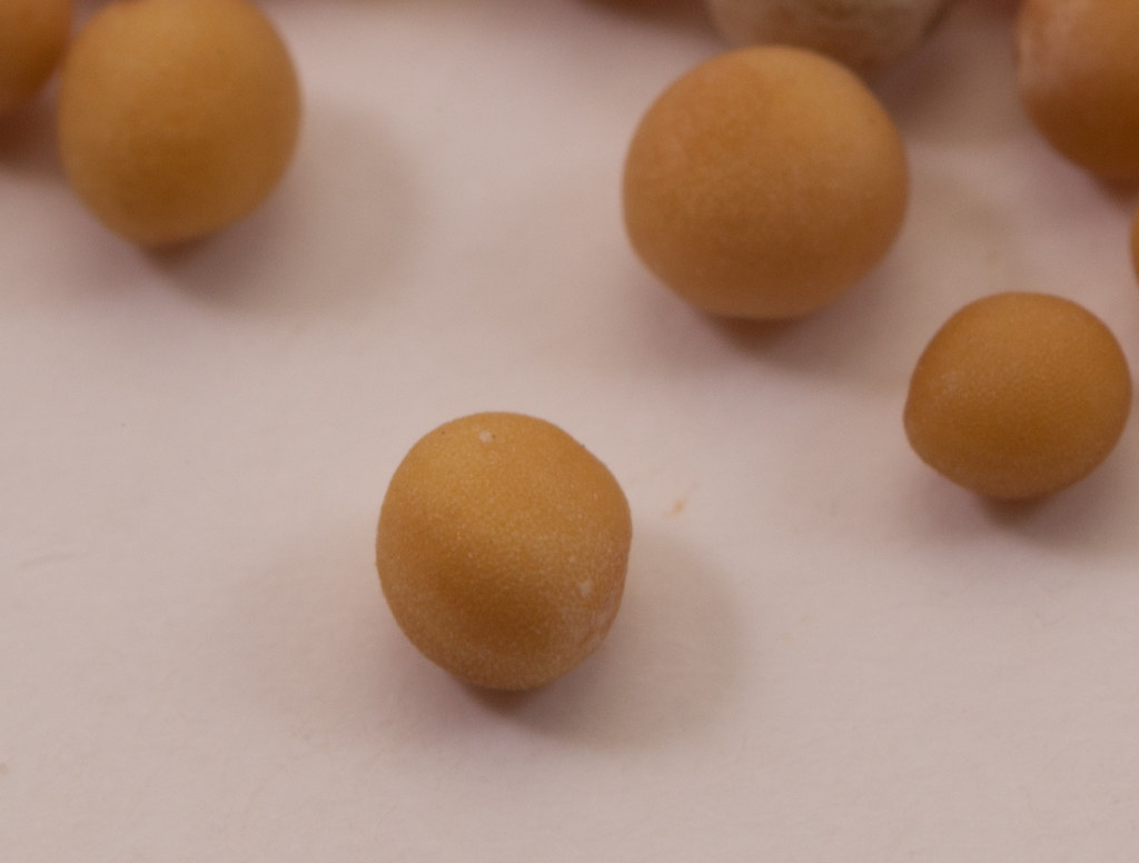 Yellow Mustard Seeds wholesale product name text; no product image requested