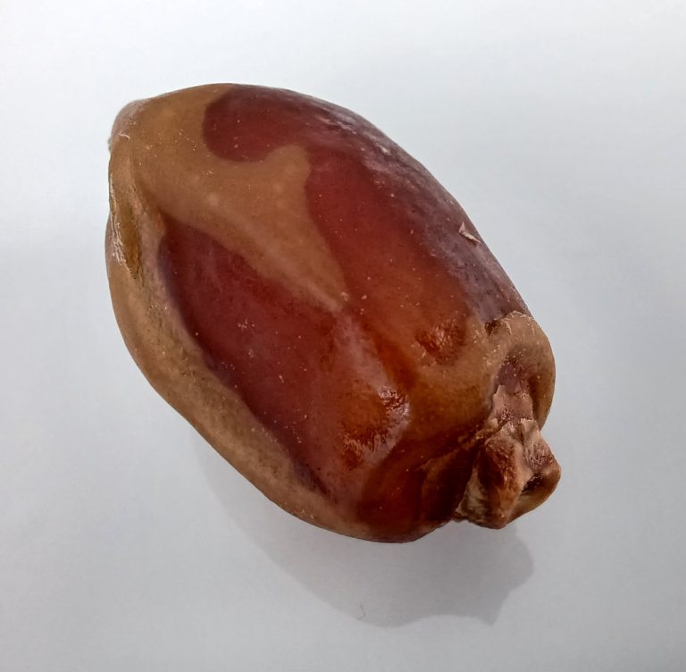 Zahidi Dates Wholesale